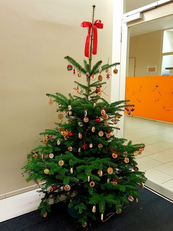 christbaum.jpg