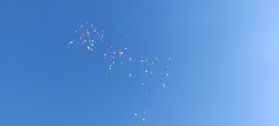 IMG_20210913_090727.jpg 